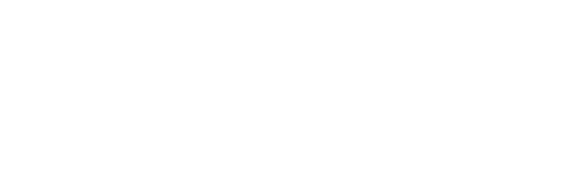 Full Logo White
